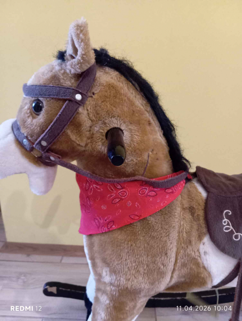 Konik na biegunach z dźwiękiem i ruchem Bytom - zdjęcie 5