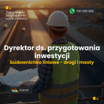 Dyrektor ds. przygotowania i realizacji inwestycji (branża liniowa)
