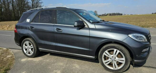 Mercedes ML 250 250cdi 4 matic 220tys Km ! Pleszew - zdjęcie 2