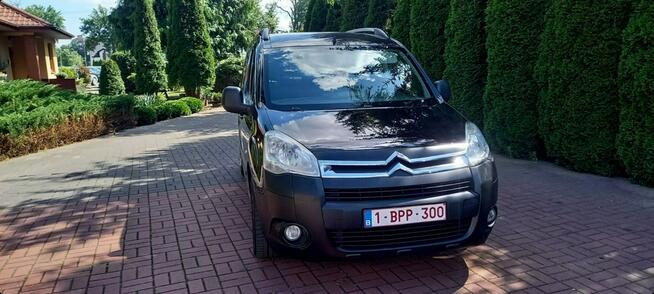 Citroen Berlingo Płońsk - zdjęcie 3