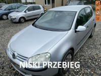 Volkswagen Golf Niski przebieg, 5 drzwi, CLIMAtronic, isofix, zadbany Wejherowo - zdjęcie 1