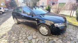 Audi A3 8P Sportback 1.9 TDI