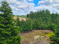 Oaza spokoju na Morasku Poznań - zdjęcie 6