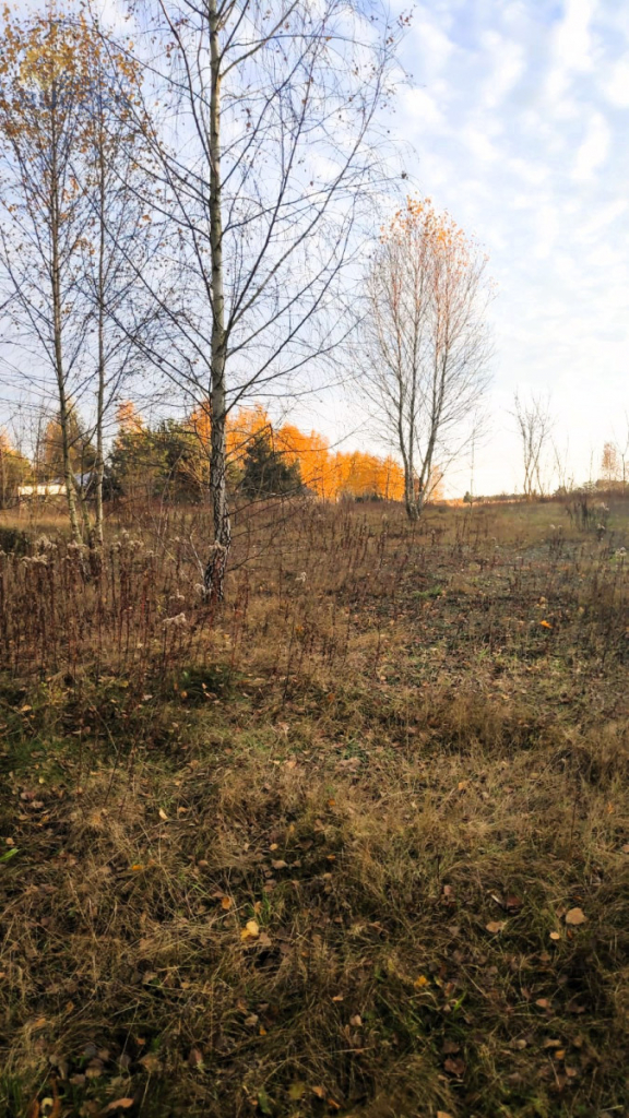 Sprzedam działkę budowlaną w Nowych Mostkach Nowe Mostki - zdjęcie 6