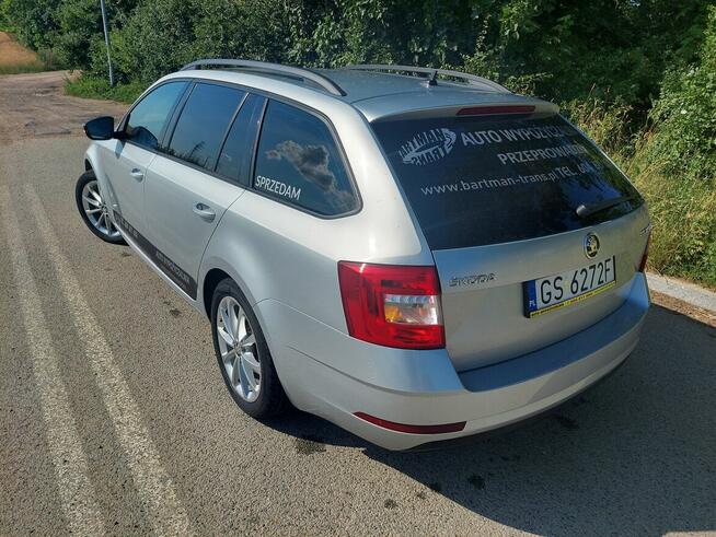 Skoda Octavia 1.6 TDI Ambition 2019 · 147 000 km · 1 598 cm3 Słupsk - zdjęcie 4