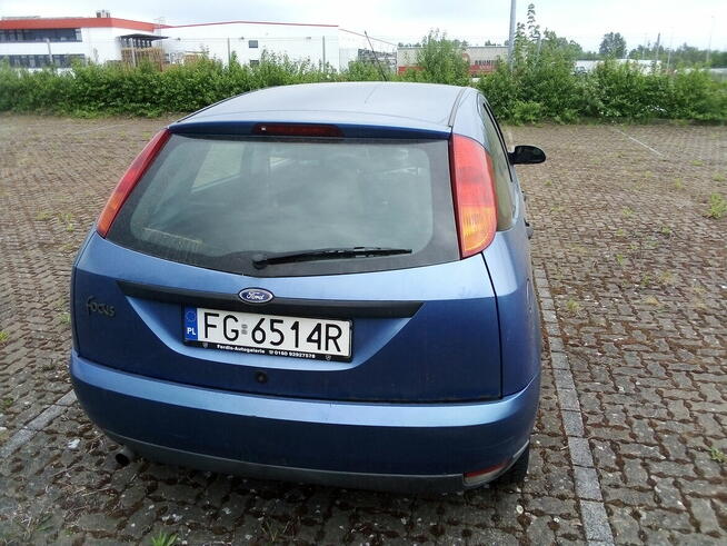 Ford Focus, benzyna, zimówki, OC do maja 2027 roku. Gorzów Wielkopolski - zdjęcie 4