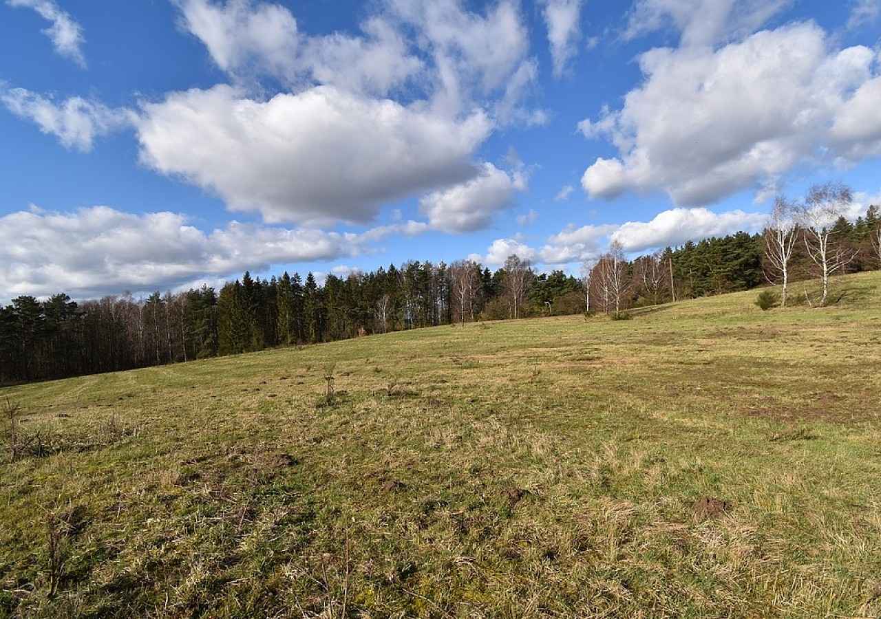 Sprzedam działki budowlane nad morzem w m. Bukowa pow. Smołdzino Bukowa - zdjęcie 3