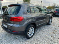 Volkswagen Tiguan AUTO WZÓR,SERWIS,FULL OPCJA Kanie - zdjęcie 9