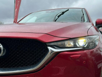 Mazda CX-5 xsenon salon polska   1 własciciel Lębork - zdjęcie 3