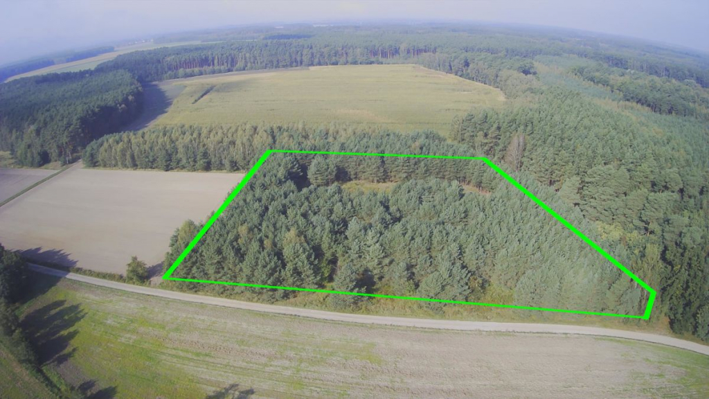 Okazja - Działka z prywatnym lasem | Wydane WZ Nowa Róża - zdjęcie 2