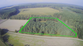 Okazja - Działka z prywatnym lasem | Wydane WZ Nowa Róża - zdjęcie 2