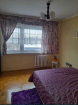 2pok, 50met, Okolice Szarskiego ROZKŁAD/BALKON (Wrocław) Fabryczna - zdjęcie 4