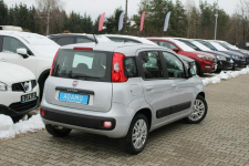 Fiat Panda 1.2-Klima-LPG-Po serwisie. Maków Mazowiecki - zdjęcie 6