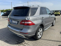 Mercedes ML 250 4Matic Skóra El.regualcja foteli Gliwice - zdjęcie 5