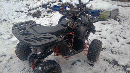 Sprzedam qlada Czajków - zdjęcie 4