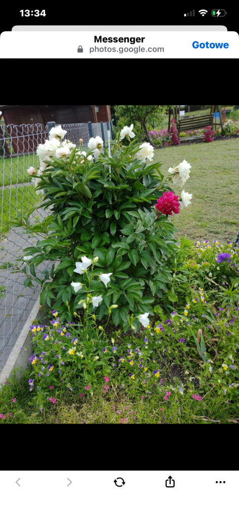 Działka Rod przy kanale bystrym Augustów - zdjęcie 6