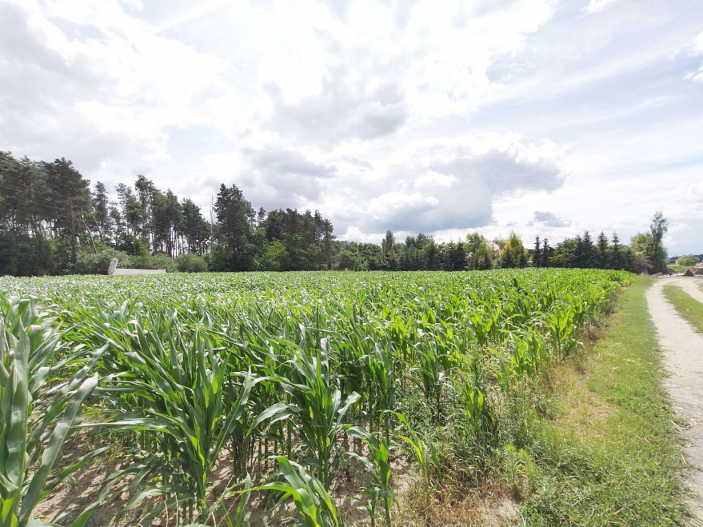 Działka z WZ, magazynowo - biurowe. Wysoczka - zdjęcie 3