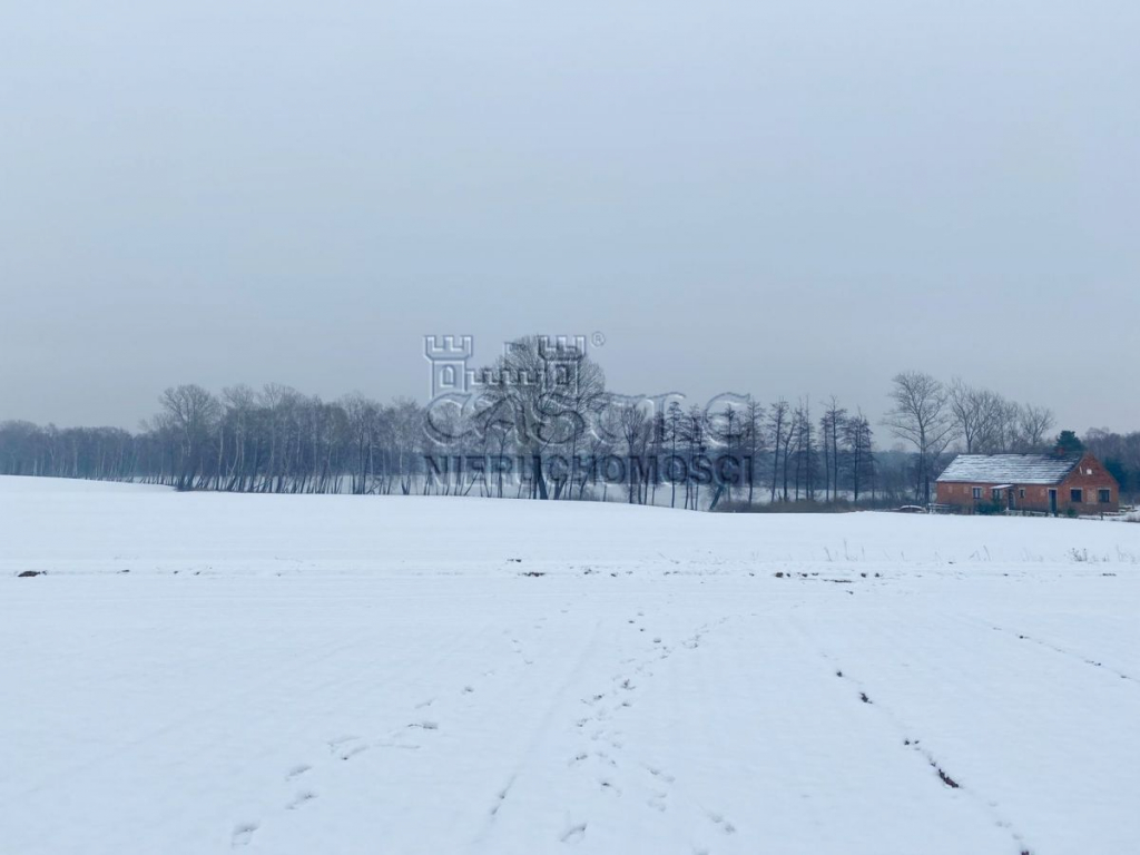 Jezioro, spokój i …..widok jak marzenie!!! Głodowo - zdjęcie 3