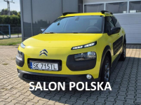 C4 Cactus  - Bezwypadkowy - Polska - Nawigacja