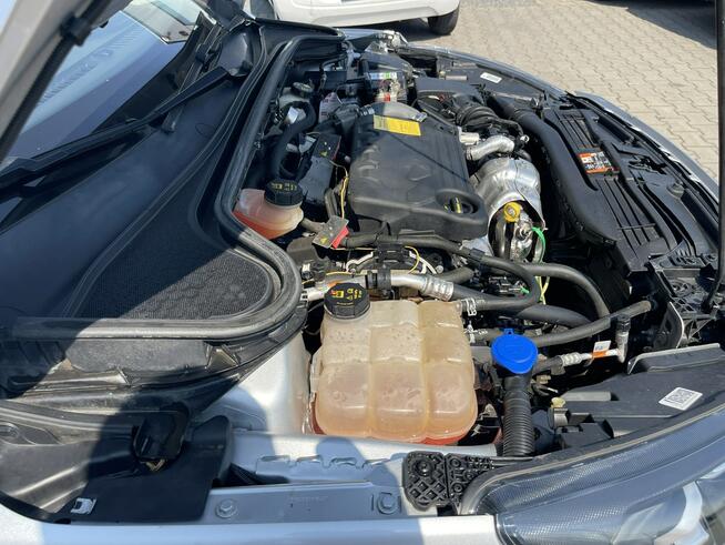 Ford Focus Podgrzewane: Szyba, fotele, kierownica Gliwice - zdjęcie 12