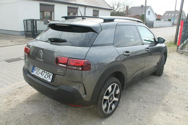 Citroen C4 Cactus Ostrów Wielkopolski - zdjęcie 5