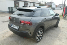 Citroen C4 Cactus Ostrów Wielkopolski - zdjęcie 5