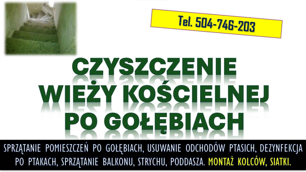 Sprzątanie wieży kościelnej po gołębiach. T.504746203 Ptasich odchodów Psie Pole - zdjęcie 4