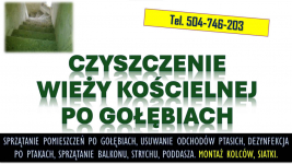 Sprzątanie wieży kościelnej po gołębiach. T.504746203 Ptasich odchodów Psie Pole - zdjęcie 4