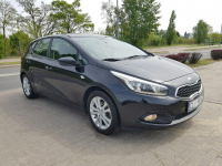 Kia Cee'd 1,4 Benzyna Klima Zarejestrowany Gwarancja Włocławek - zdjęcie 3