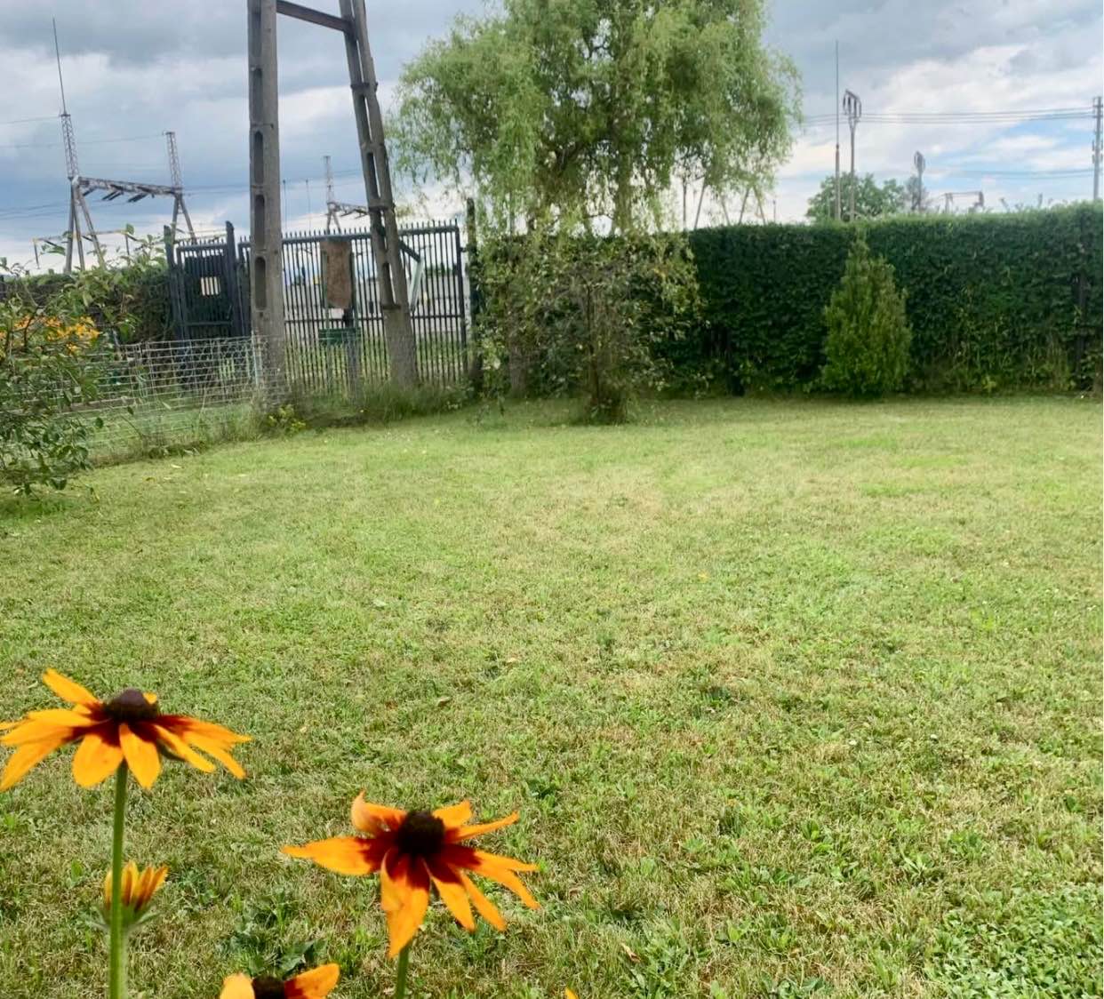 Działka rekreacyjna Jelenia Góra - zdjęcie 6