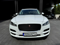 Biały Jaguar Salon Polska Końskie - zdjęcie 5