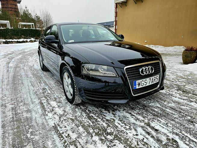 Audi A3 Lift 1.9 TDI DSG 5 Drzwi Serwis Zagnańsk - zdjęcie 3
