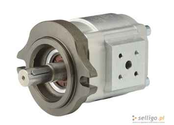 Pompa Eckerle IPH 2-8 101 Syców - zdjęcie 1