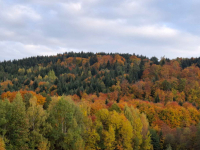 Działka Wojakowa bez pośredników – 68 arów rolno-inwestycyjna, 198tys.