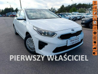 Kia Cee'd Salon Polska bezwypadkowy