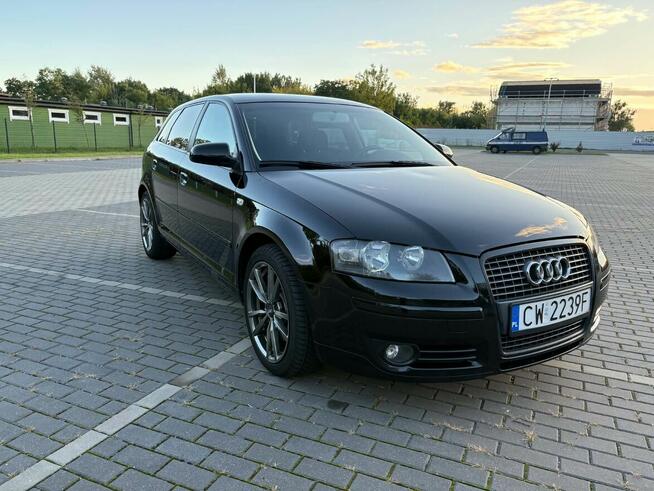 Audi A3 8P Włocławek - zdjęcie 5