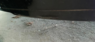 Sprzedam Audi A3 Sportback (s-line) Małogoszcz - zdjęcie 10