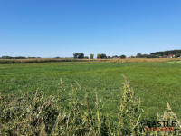 Miejsce na Twój Biznes. Kup działkę, wybuduj hotel