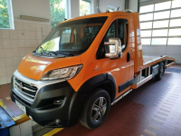 Ford Focus SKUP AUT qotówka dzowń pisz Toruń - zdjęcie 2