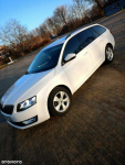 Skoda Octavia Dzielice - zdjęcie 2