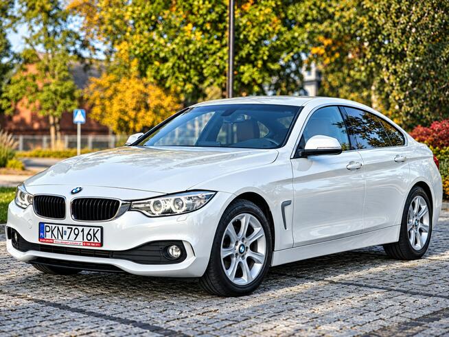 BMW 420 Sadlno - zdjęcie 1