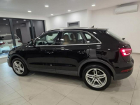 Audi Q3 4x4 Bezwypadkowy/ Roczna Gwarancja w cenie  / Zadbany Korczyna - zdjęcie 6