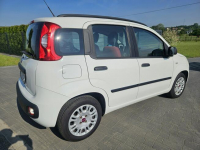 Fiat Panda Polski salon, Bezwypadkowy Liszki - zdjęcie 5