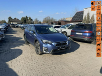 Subaru XV mHEV AWD Automat Skóra Podgrzewanie Kamera HAK 150KM