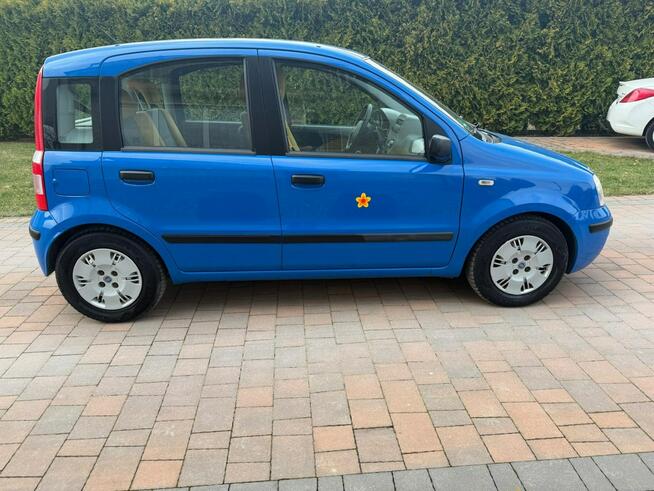 Fiat Panda Klimatyzacja bezwypadkowy !!! Rzeszów - zdjęcie 10
