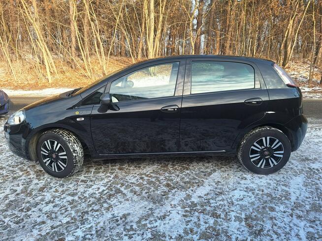 Fiat Punto 1.4 Young Navi Siewierz - zdjęcie 6