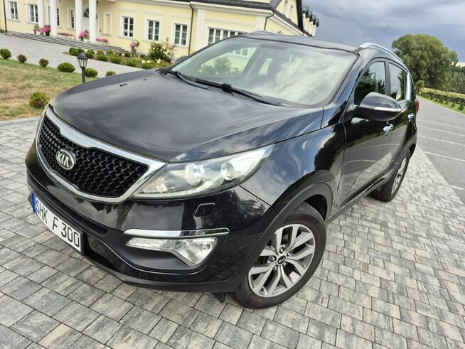 Kia Sportage kamera xenon navigacja skóra Import Francja bez korozji Drelów - zdjęcie 4