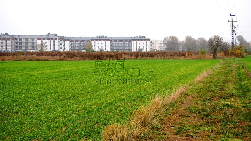 Tylko teraz TAKA CENA. Zalasewo - zdjęcie 1