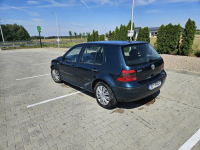 Volkswagen golf 4 1.4 Osiek - zdjęcie 8