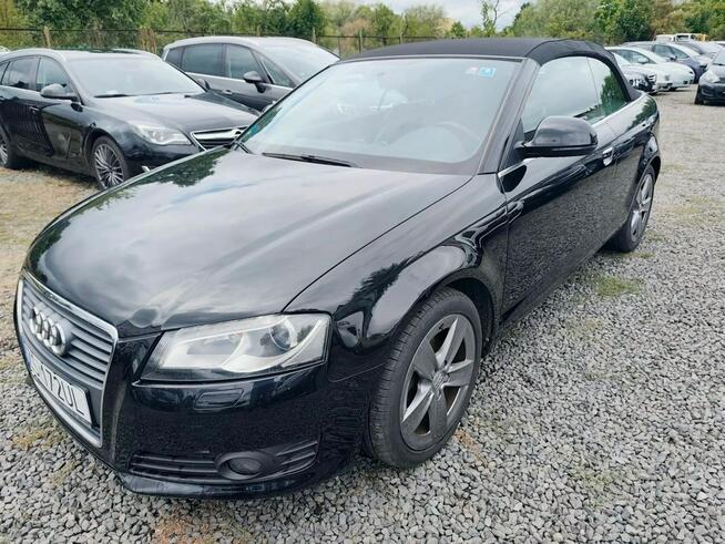 Audi A3 2,0 TDI CR/195 tys.km. książka serwis. /Xenon/Ledy Szczecin - zdjęcie 1